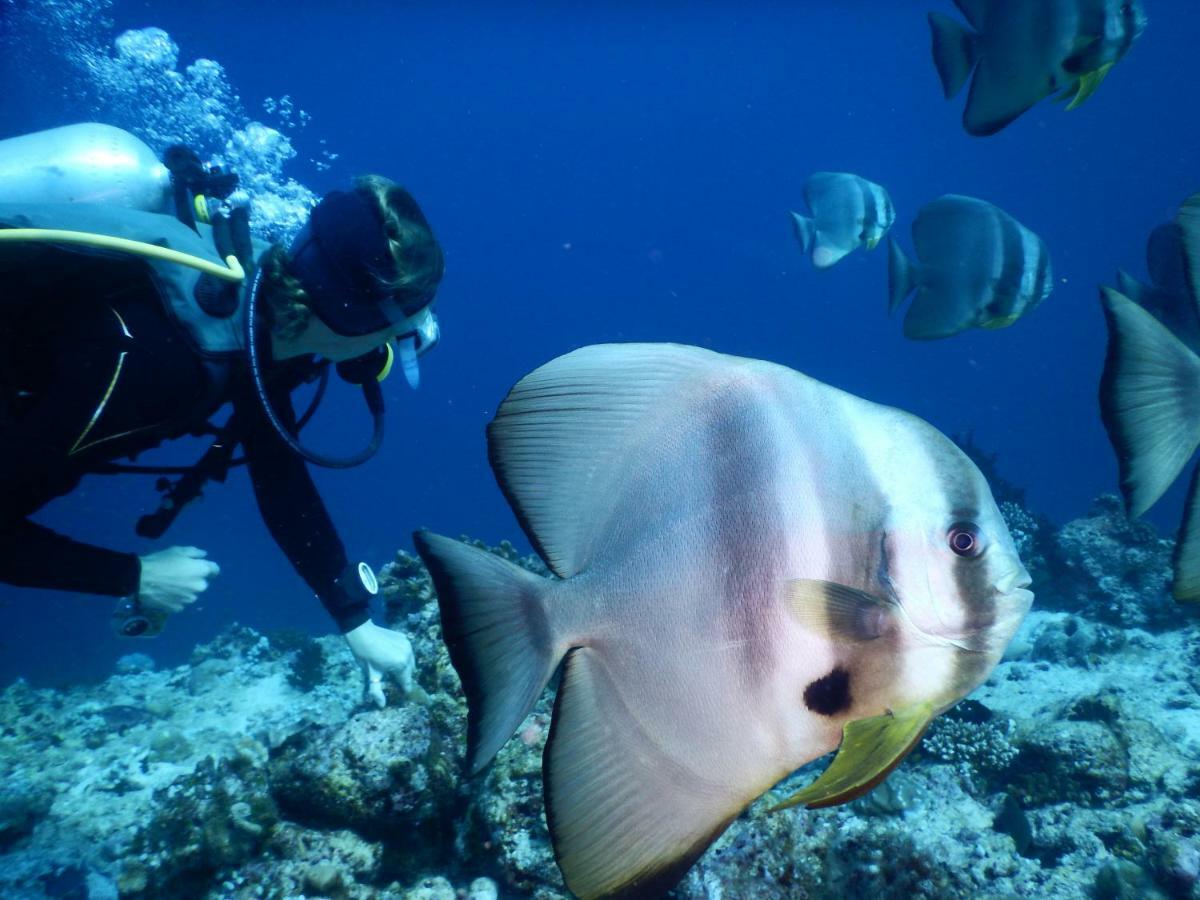 Ithaa Dhigurah Maldives Dhigurah (Alif Dhaal Atoll) Exterior foto